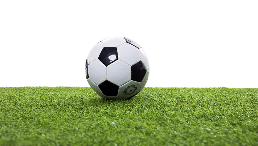 技术团队与客户支持